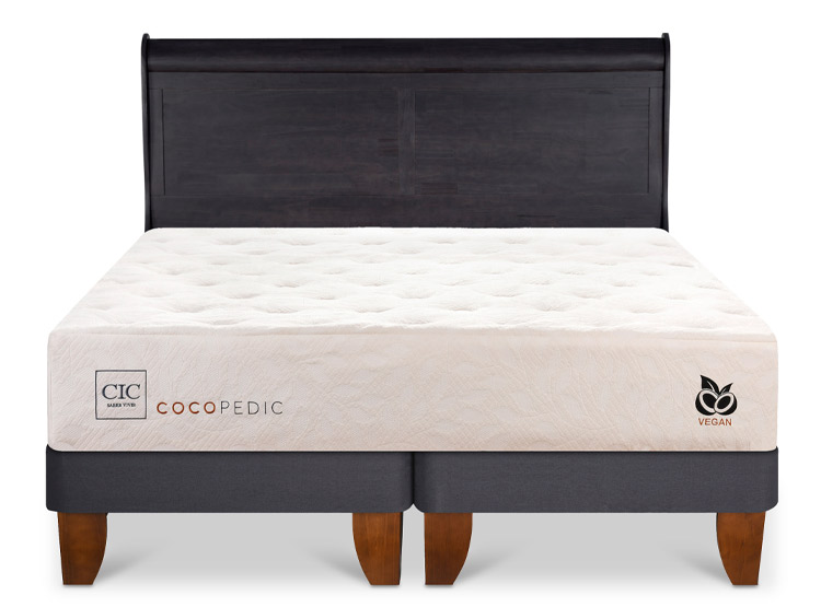JUEGO DE DORMITORIO CIC CAMA EUROPEA COCOPEDIC C BD 2 PLAZAS + RESPALDO MIRO NEGRO - 1