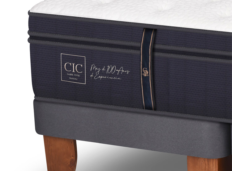 JUEGO DE DORMITORIO CIC CAMA EUROPEA GRAND PREMIUM BD 2 PLAZAS + RESPALDO MIRO NEGRO - 8