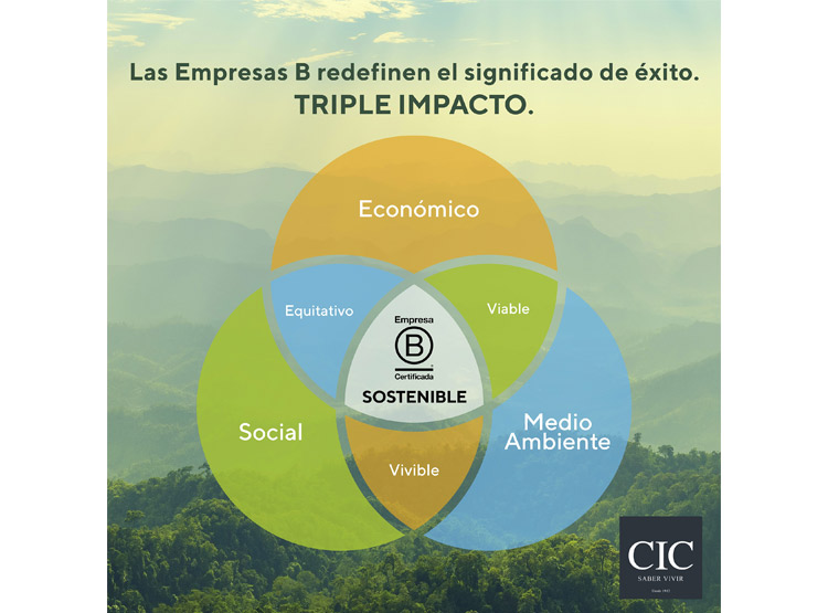 JUEGO DE DORMITORIO CIC CAMA EUROPEA LUX BD 2 PLAZAS + RESPALDO MIRO ALPINO - 12