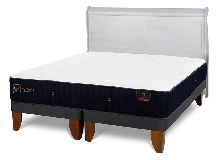 JUEGO DE DORMITORIO CIC CAMA EUROPEA PREMIUM BD 2 PLAZAS + RESPALDO MIRO ALPINO - 2