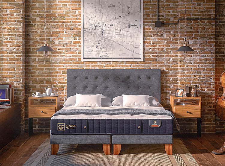 JUEGO DE DORMITORIO CIC CAMA EUROPEA PREMIUM BD 2 PLAZAS + RESPALDO MIRO ALPINO - 10
