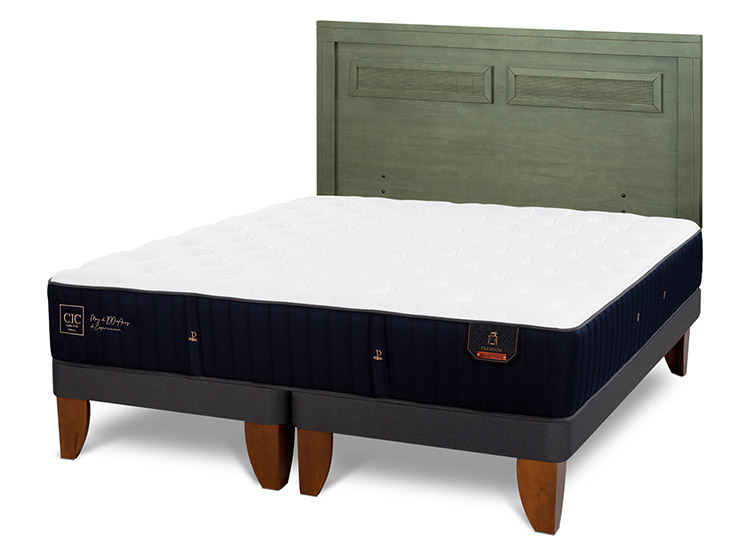 JUEGO DE DORMITORIO CIC CAMA EUROPEA PREMIUM KING + RESPALDO MILAN OLIVO - 2