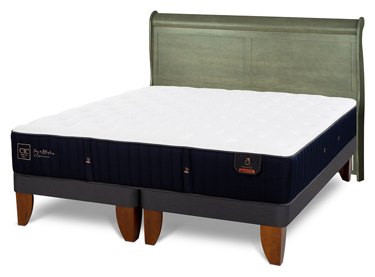 JUEGO DE DORMITORIO CIC CAMA EUROPEA PREMIUM KING + RESPALDO MIRO OLIVO - 2