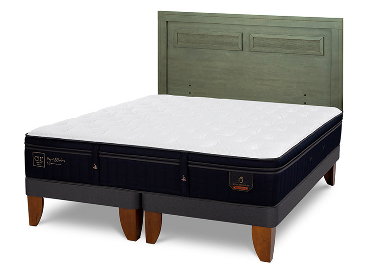 JUEGO DE DORMITORIO CIC CAMA EUROPEA SUPER PREMIUM BD 2 PLAZAS + RESPALDO MILAN OLIVO - 2