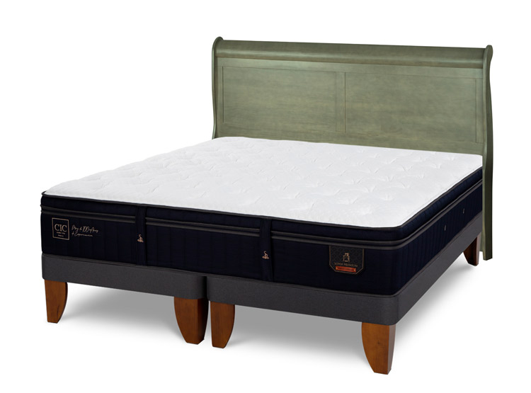 JUEGO DE DORMITORIO CIC CAMA EUROPEA SUPER PREMIUM BD 2 PLAZAS + RESPALDO MIRO OLIVO - 2