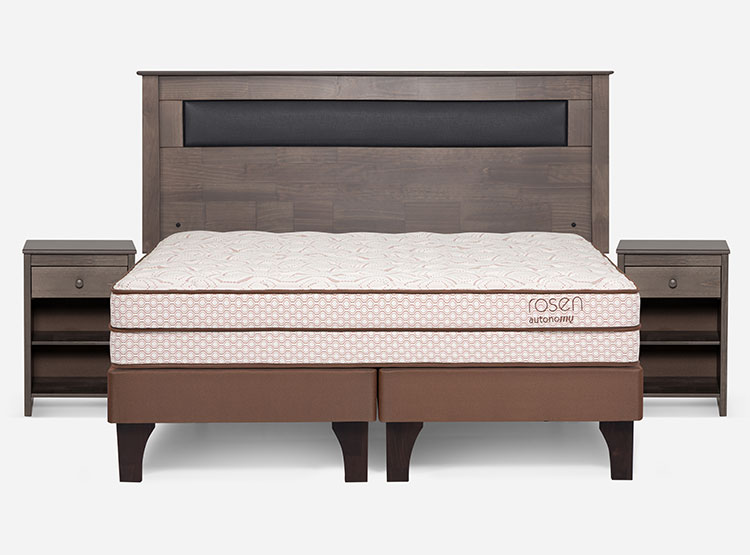 JUEGO DE DORMITORIO ROSEN CAMA EUROPEA AUTONOMY LAND PB BD 2 PLAZAS + SET FERRARA GRIS - 1