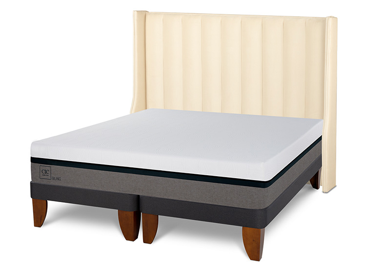JUEGO DE DORMITORIO CIC CAMA EUROPEA BALANCE KING + RESPALDO PANARO - 2