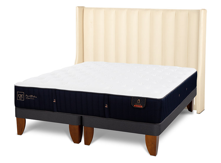 JUEGO DE DORMITORIO CIC CAMA EUROPEA PREMIUM SÚPER KING + RESPALDO PANARO - 2