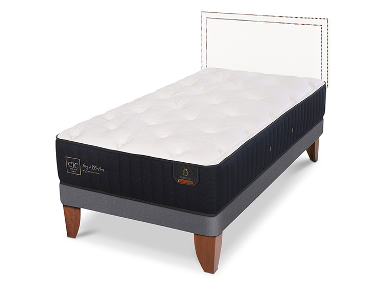 JUEGO DE DORMITORIO CIC CAMA EUROPEA PREMIUM 1.5 PLAZAS + RESPALDO DANUBIO - 2