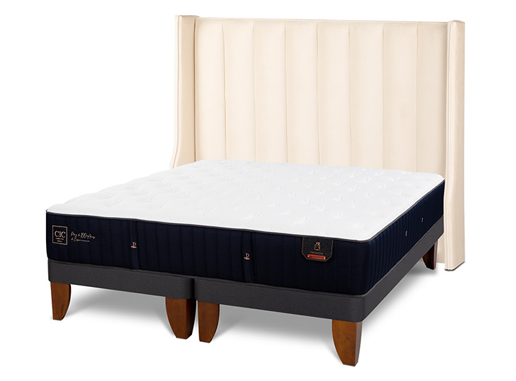JUEGO DE DORMITORIO CIC CAMA EUROPEA PREMIUM BD 2 PLAZAS + RESPALDO PANARO - 2