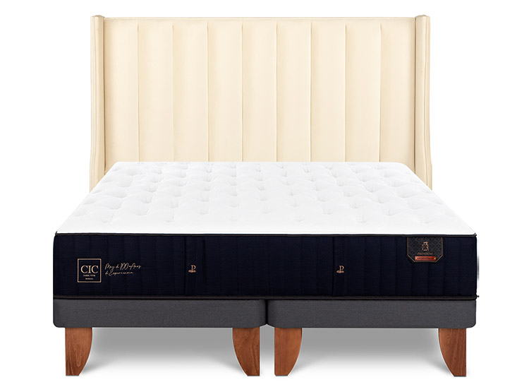 JUEGO DE DORMITORIO CIC CAMA EUROPEA PREMIUM BD 2 PLAZAS + RESPALDO PANARO - 1