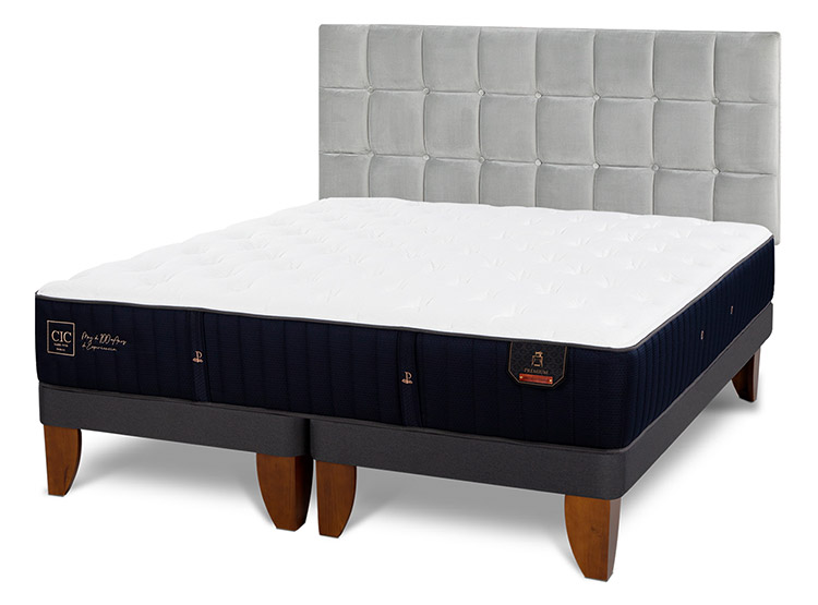 JUEGO DE DORMITORIO CIC CAMA EUROPEA PREMIUM BD 2 PLAZAS + RESPALDO SILE - 2