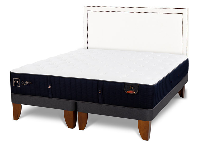 JUEGO DE DORMITORIO CIC CAMA EUROPEA PREMIUM KING + RESPALDO DANUBIO - 2