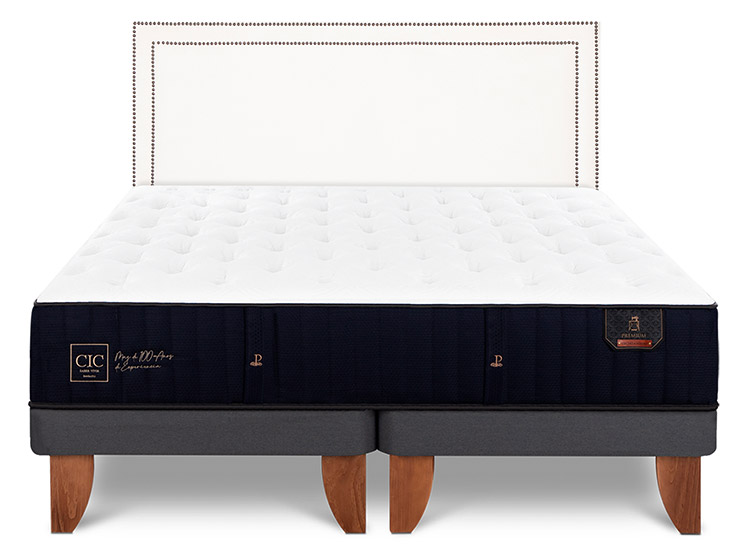 JUEGO DE DORMITORIO CIC CAMA EUROPEA PREMIUM KING + RESPALDO DANUBIO - 1
