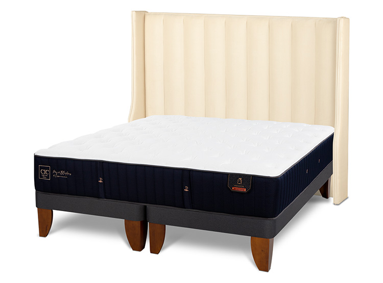 JUEGO DE DORMITORIO CIC CAMA EUROPEA PREMIUM KING + RESPALDO PANARO - 2