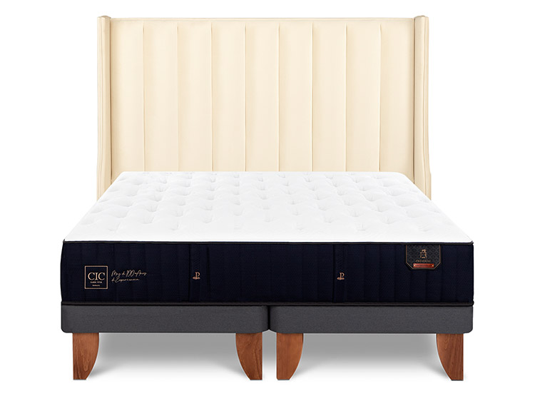 JUEGO DE DORMITORIO CIC CAMA EUROPEA PREMIUM KING + RESPALDO PANARO - 1