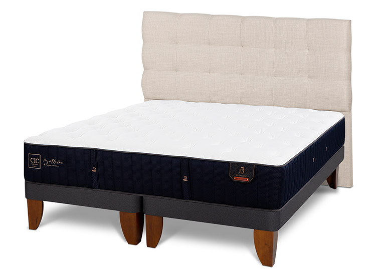 JUEGO DE DORMITORIO CIC CAMA EUROPEA PREMIUM KING + RESPALDO EBRO - 2