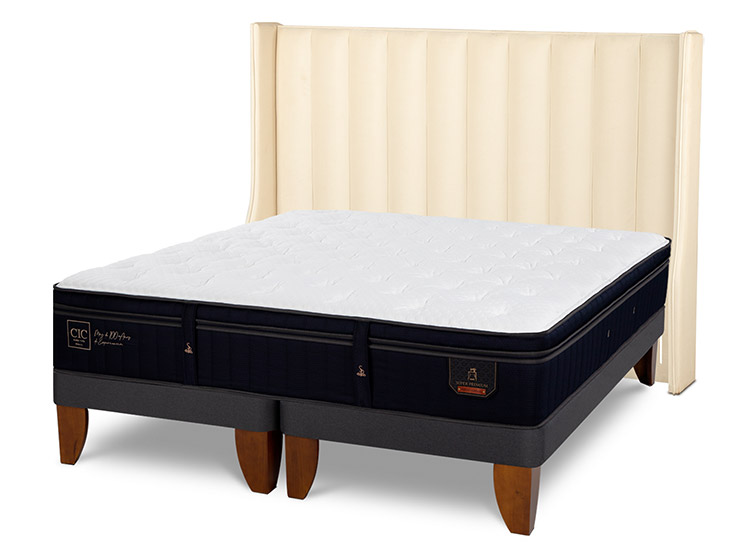 JUEGO DE DORMITORIO CIC CAMA EUROPEA SUPER PREMIUM SÚPER KING + RESPALDO PANARO - 2