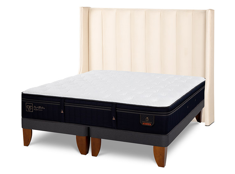JUEGO DE DORMITORIO CIC CAMA EUROPEA SUPER PREMIUM BD 2 PLAZAS + RESPALDO PANARO - 2