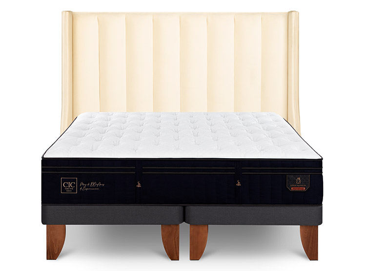 JUEGO DE DORMITORIO CIC CAMA EUROPEA SUPER PREMIUM BD 2 PLAZAS + RESPALDO PANARO - 1
