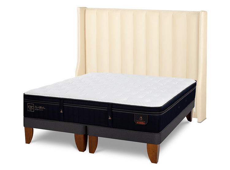 JUEGO DE DORMITORIO CIC CAMA EUROPEA SUPER PREMIUM KING + RESPALDO PANARO - 2