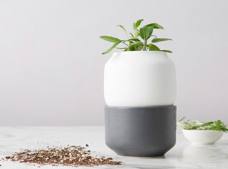 Maceta Para Hierbas Con Sistema De Riego Automático
