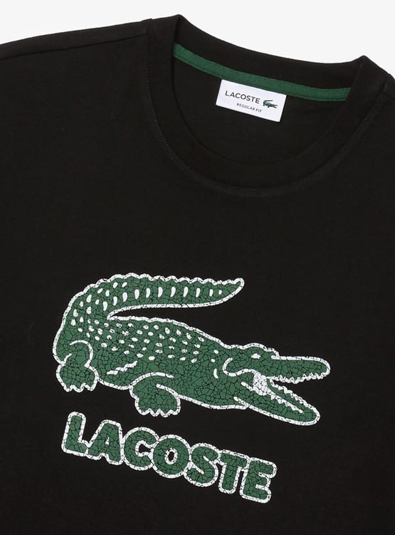 POLERA LACOSTE                      - 2