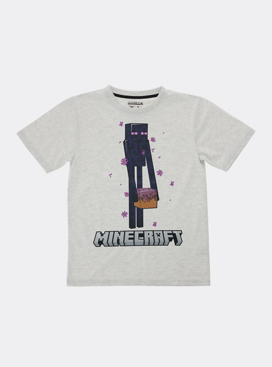 POLERA MANGA CORTA SEMI BASICA TEENO CAJA MINECRAFT - 1