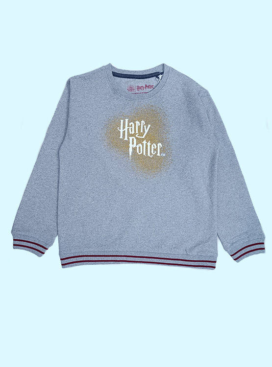POLERÓN HARRY POTTER - 1